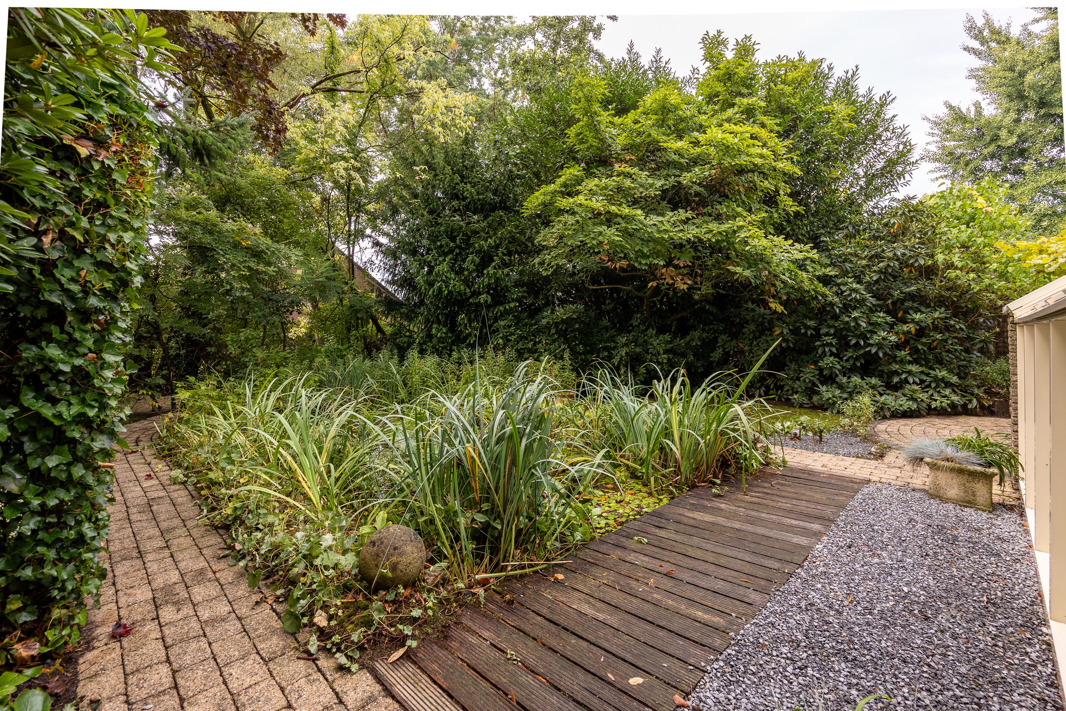 Photo 42 of Salamander 56