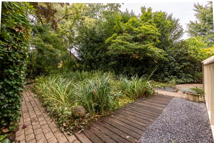 Foto 42 van Salamander 56