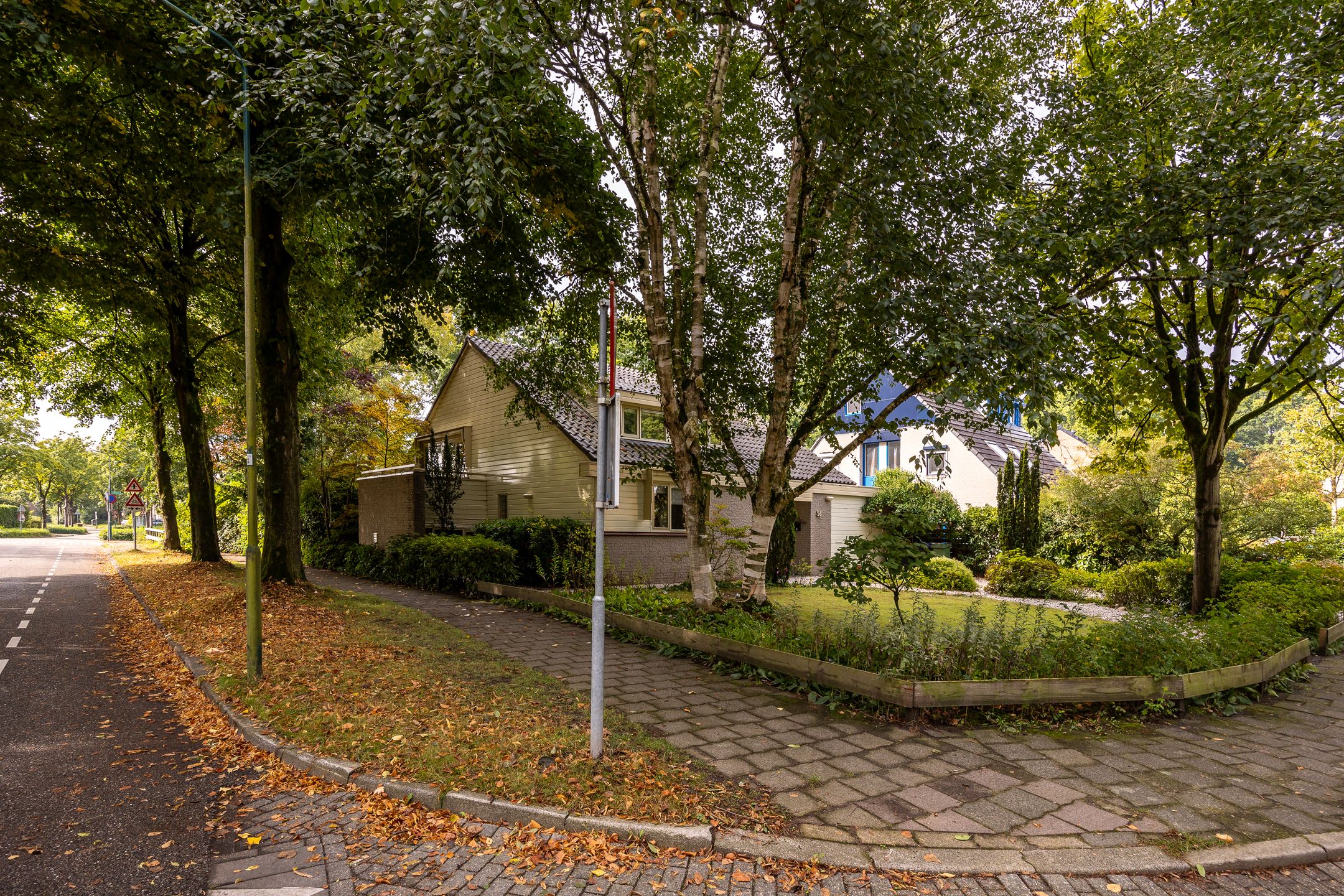 Photo 45 of Salamander 56