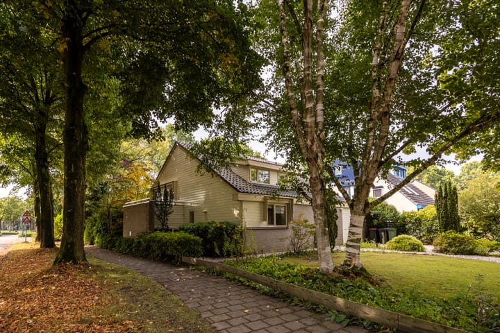 Foto 2 van Salamander 56