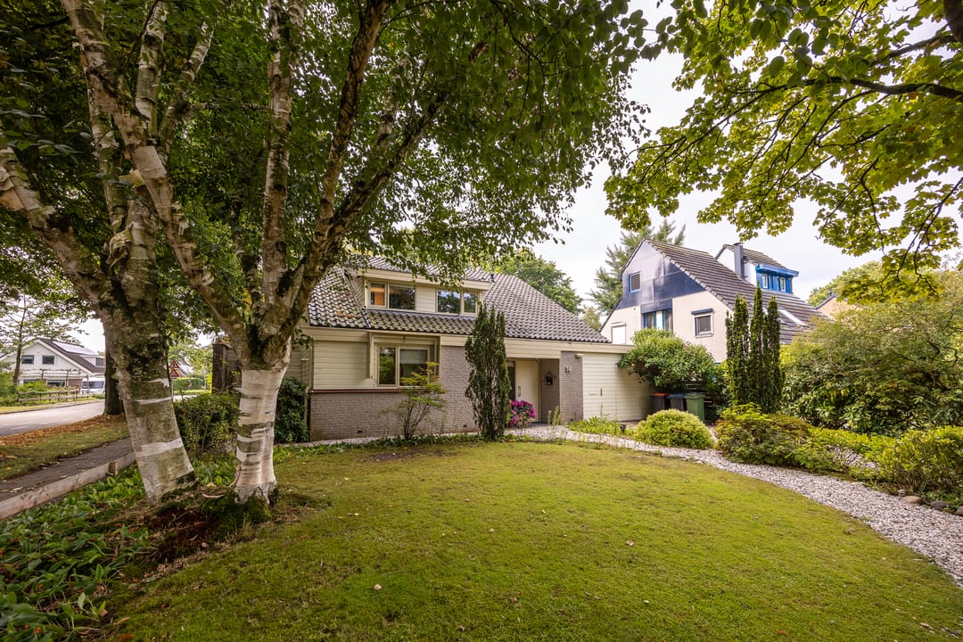 Photo 43 of Salamander 56