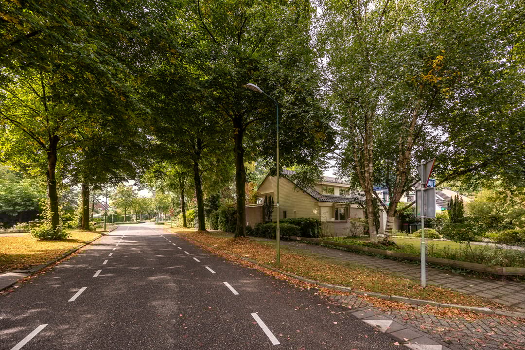 Photo 46 of Salamander 56