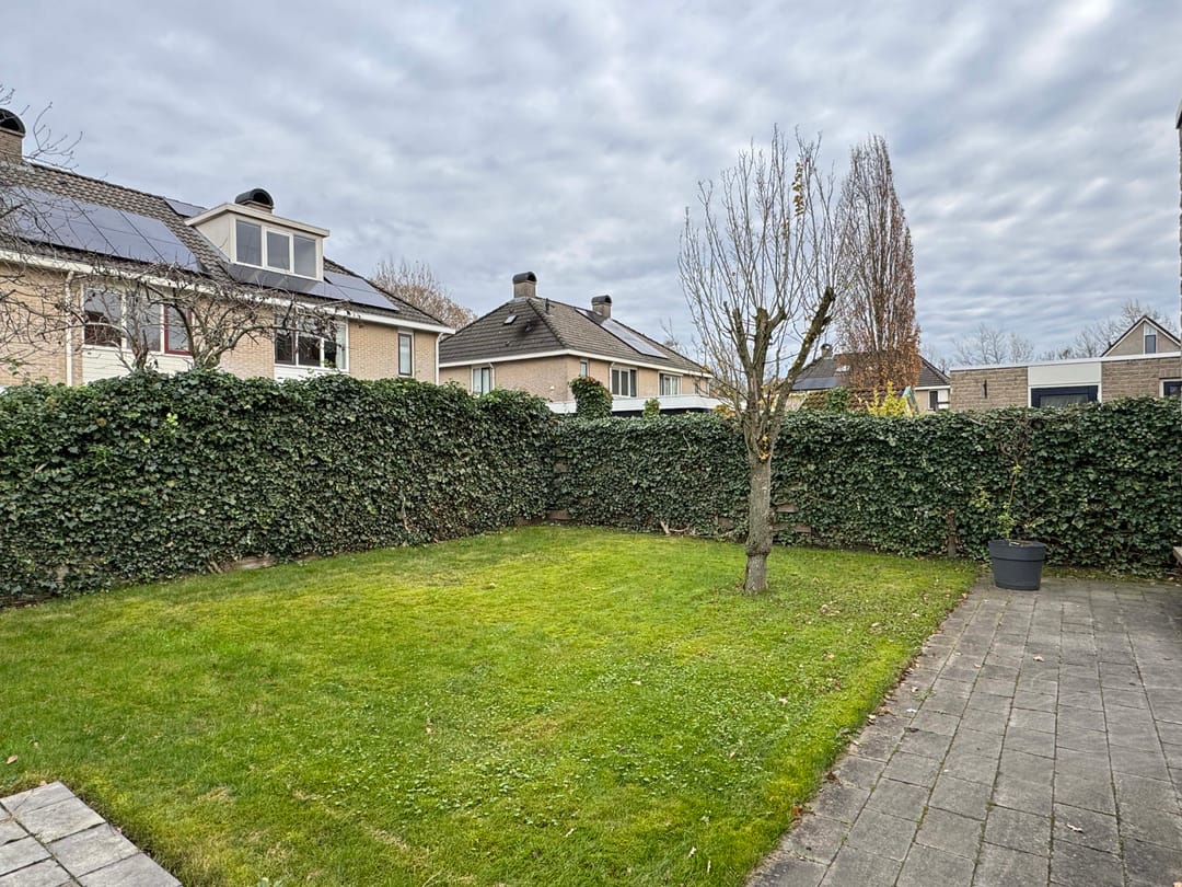 Foto 11 van Meidoorn 5