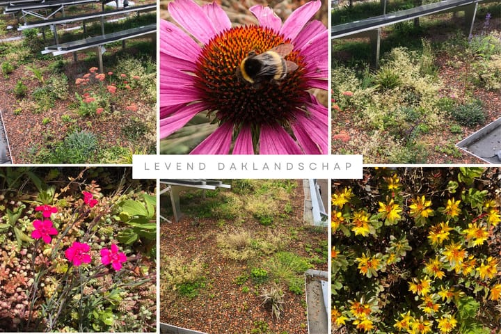 Foto 53 van Mauritsstraat 20