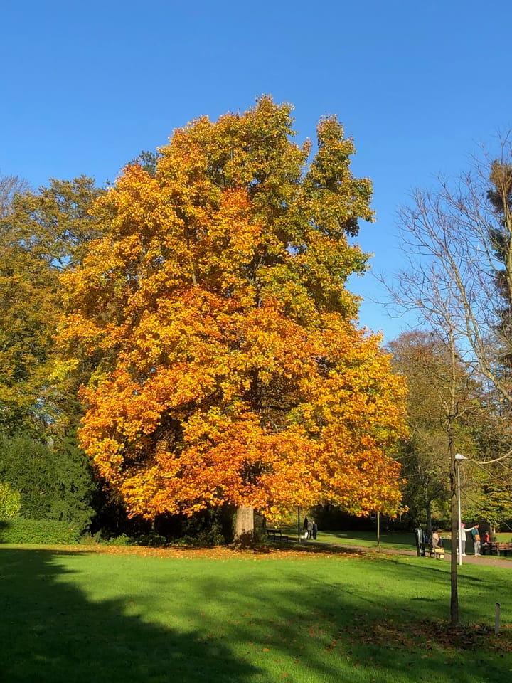 Foto 59 van Mauritsstraat 20