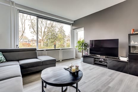 Richterslaan thumbnail