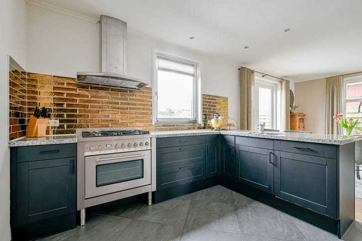 Foto 3 van Hollands Hoen 4