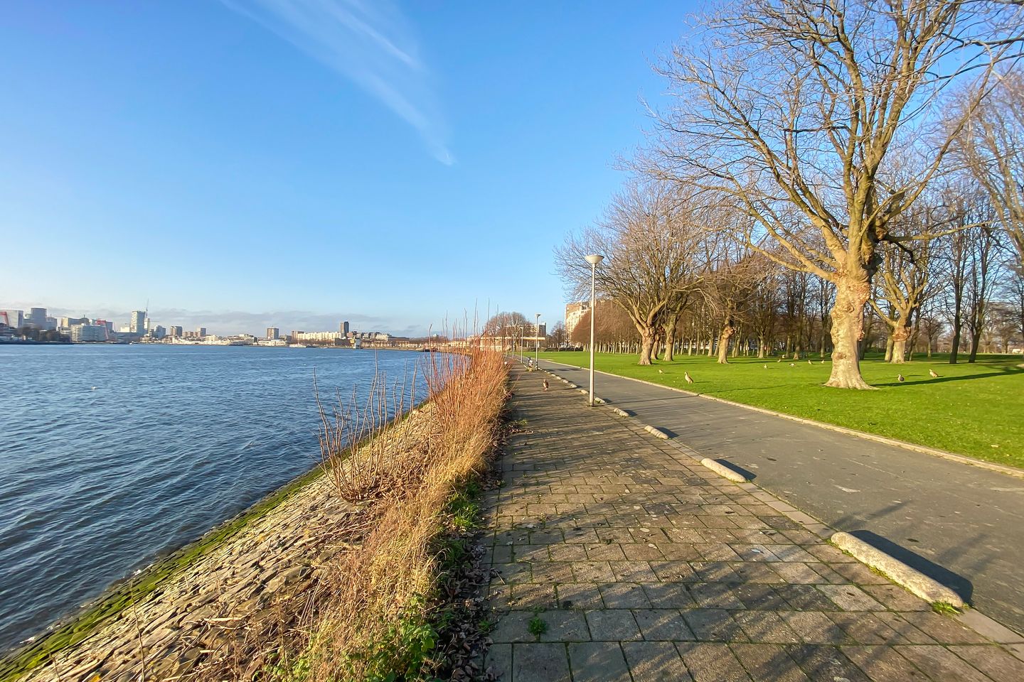 Foto 19 van Oostmaaslaan 208