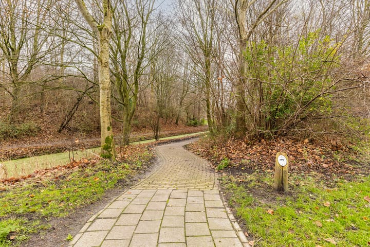 Foto 36 van Mudaheerd 45