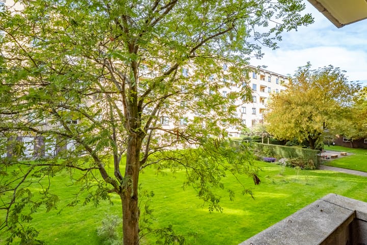 Photo 4 of Adriaen van Ostadelaan 165