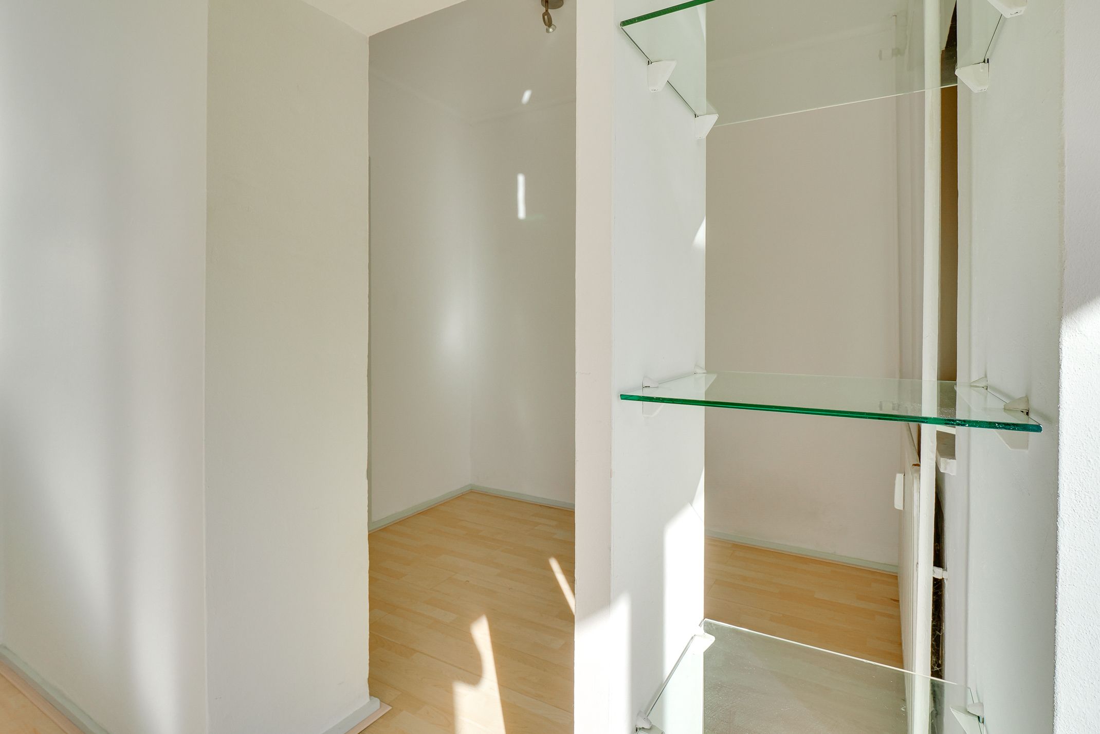 Foto 12 van Adriaen van Ostadelaan 165