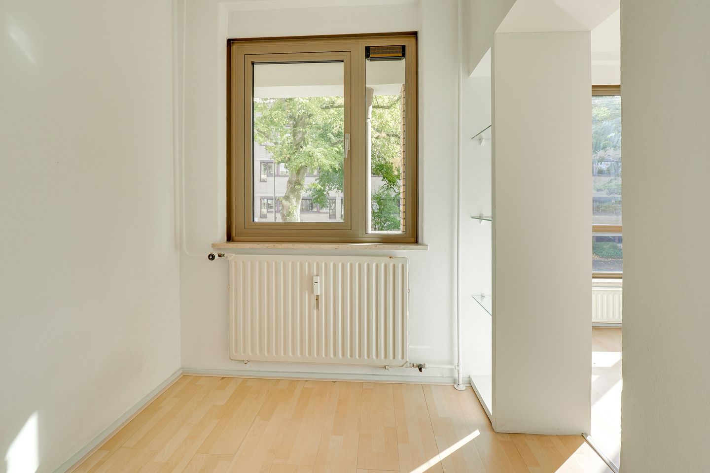 Foto 14 van Adriaen van Ostadelaan 165