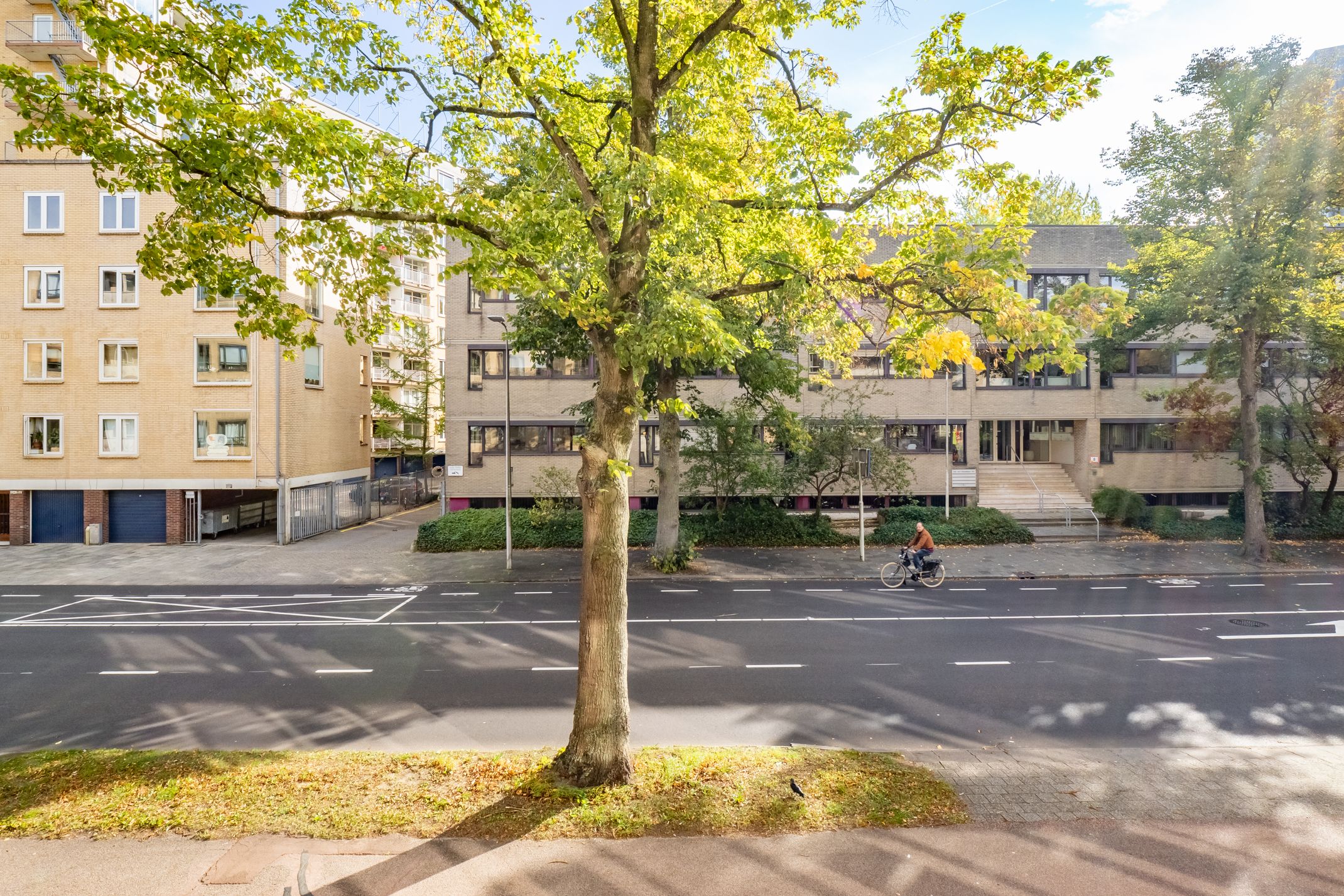 Foto 39 van Adriaen van Ostadelaan 165