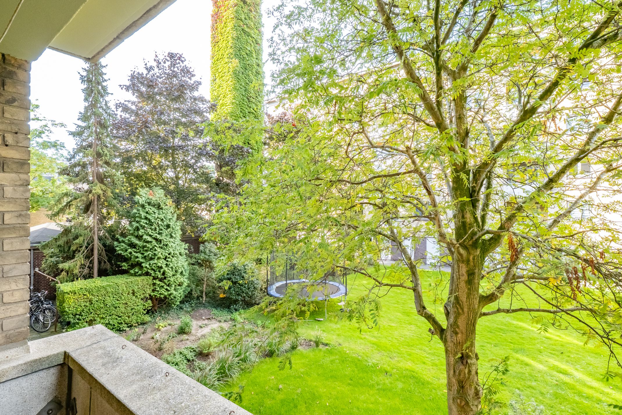 Foto 42 van Adriaen van Ostadelaan 165