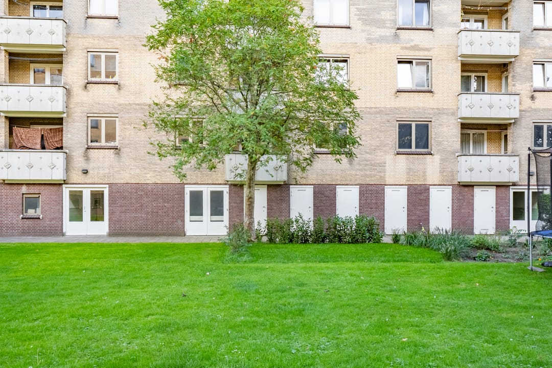 Foto 46 van Adriaen van Ostadelaan 165