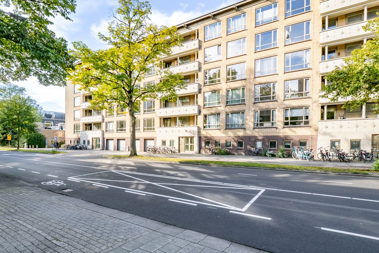 Foto 49 van Adriaen van Ostadelaan 165