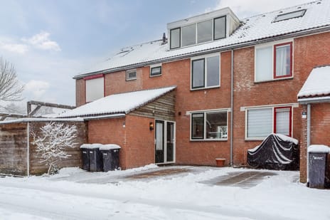 Horst 11 19 secondary image