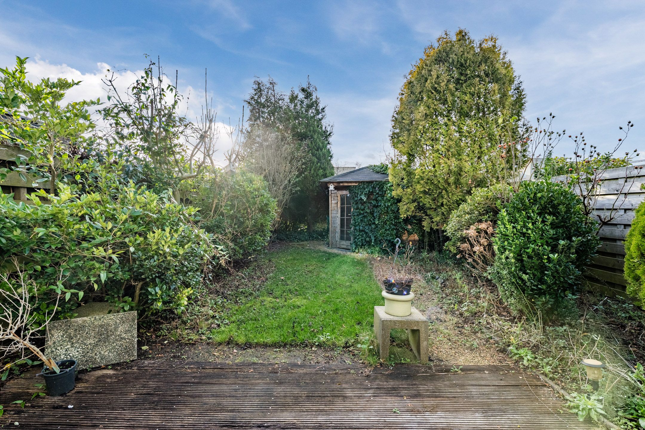 Foto 3 van Banckspolder 60