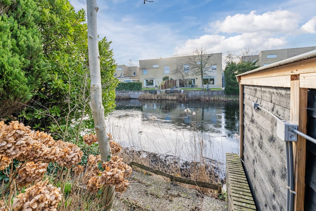 Foto 38 van Banckspolder 60