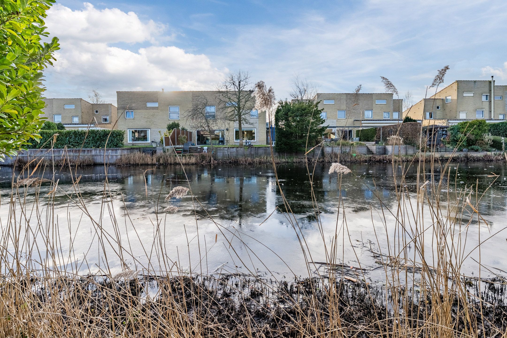 Foto 39 van Banckspolder 60