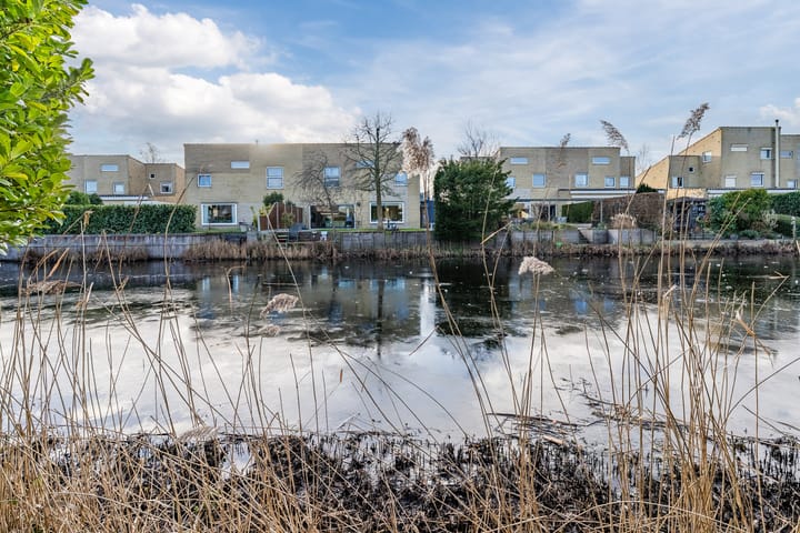 Foto 39 van Banckspolder 60