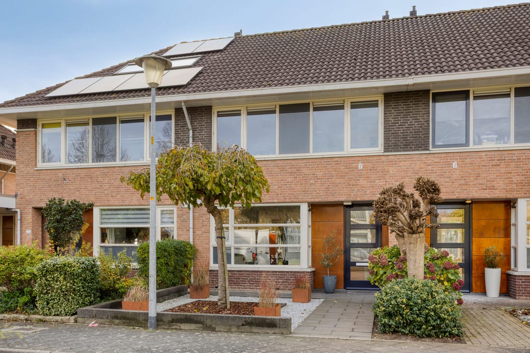 Foto 7 van de Flier 3654