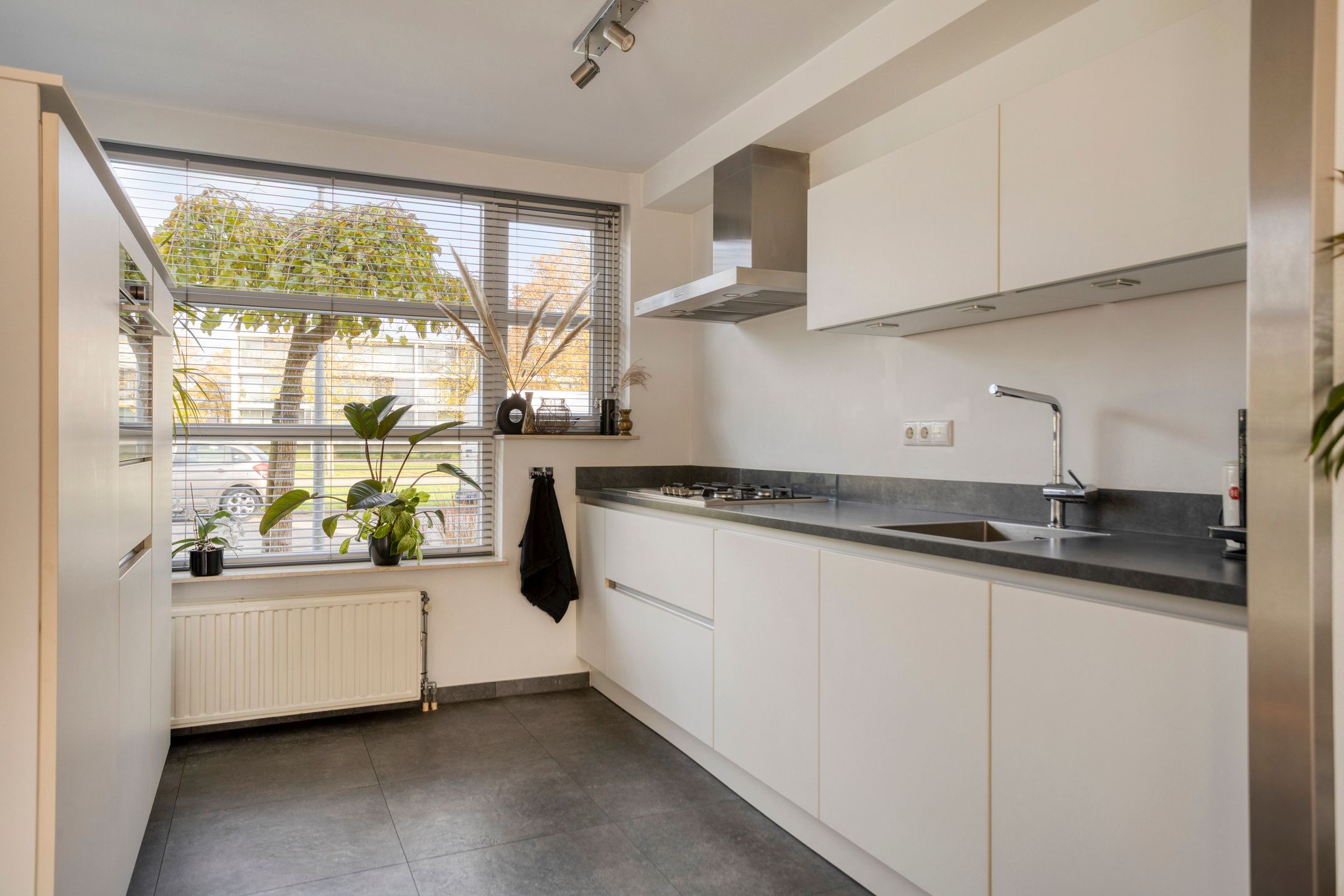 Foto 3 van de Flier 3654