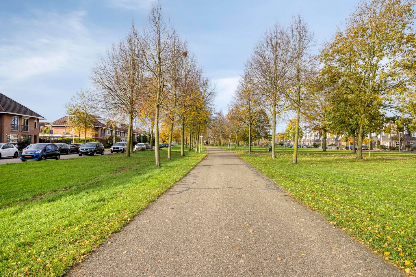 Foto 49 van de Flier 3654