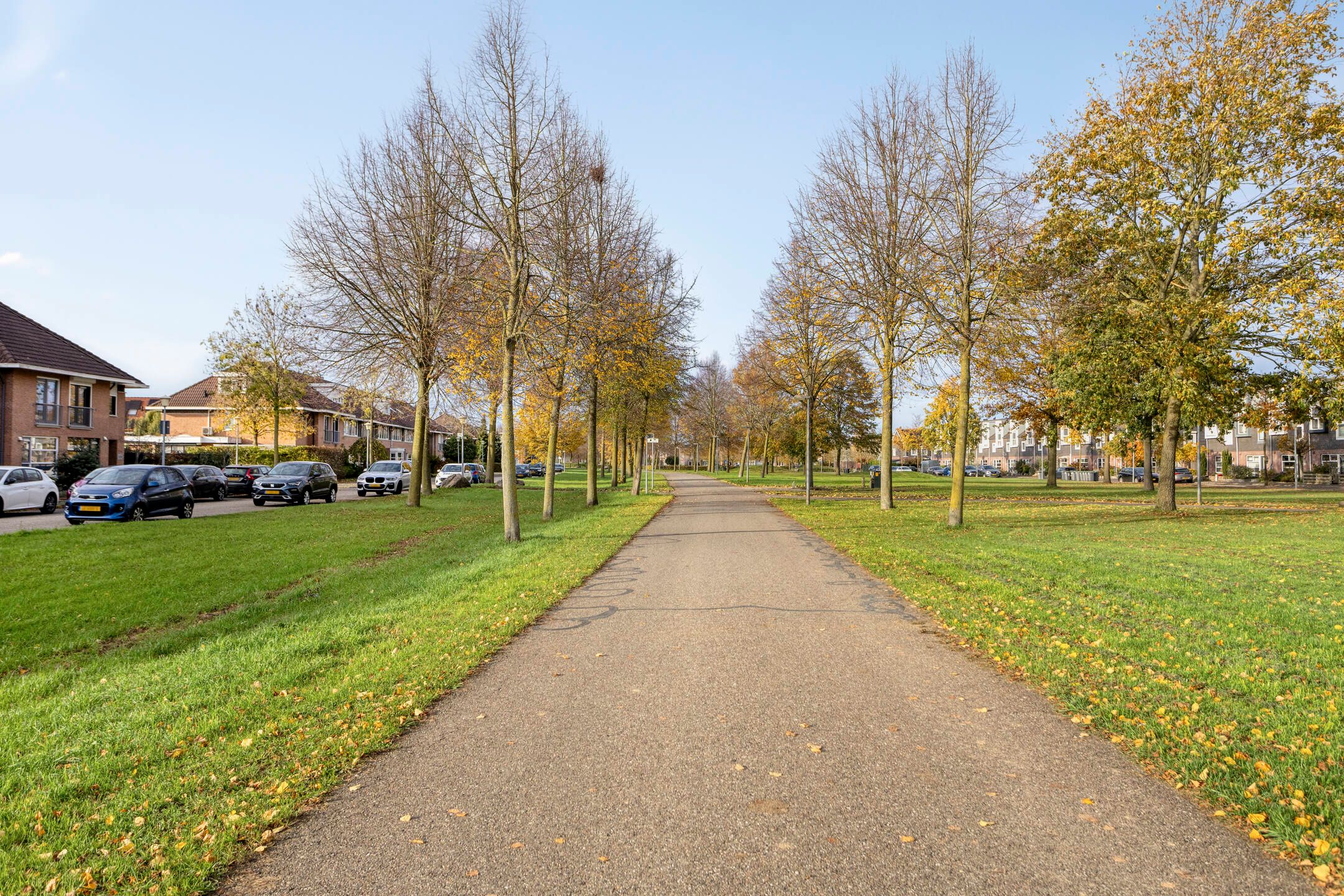 Foto 48 van de Flier 3654