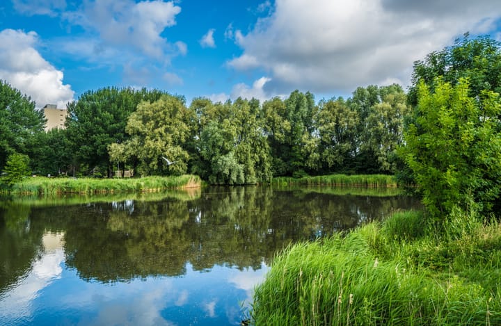 Foto 32 van Kloosplantsoen 455