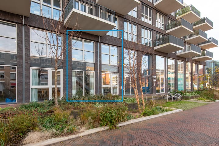 Lapis Lazuli 7 main image