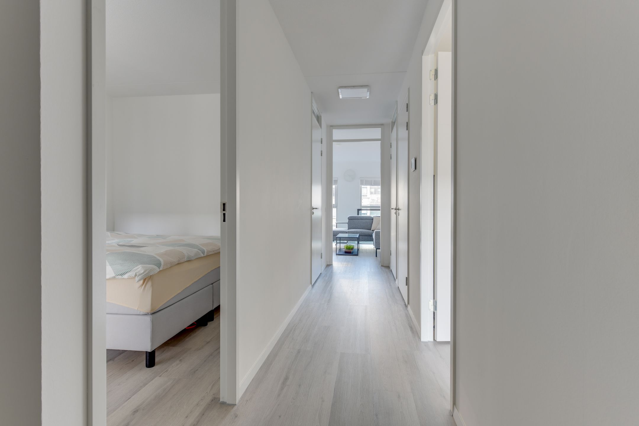 Foto 9 van Lapis Lazuli 7