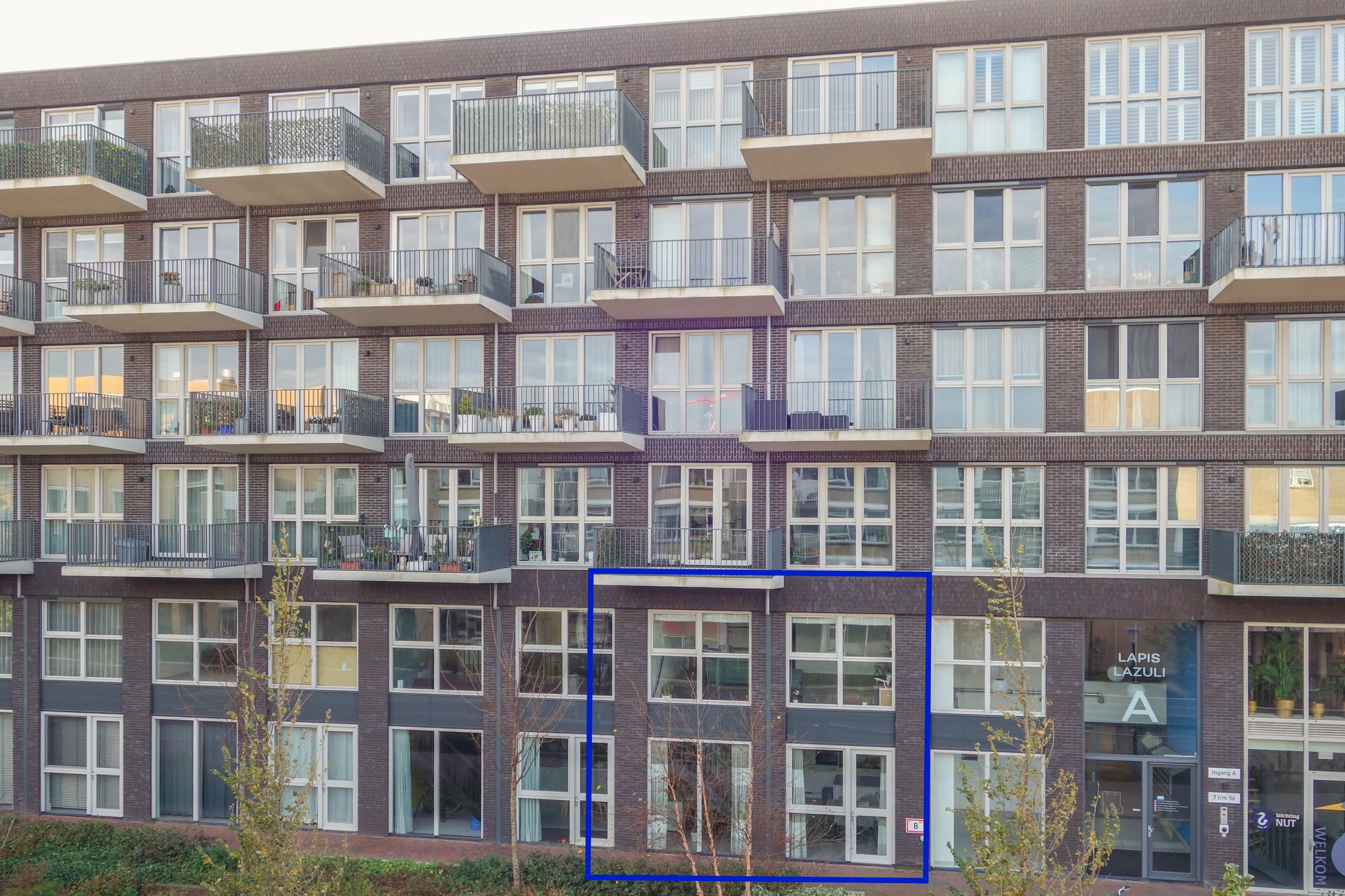 Foto 33 van Lapis Lazuli 7