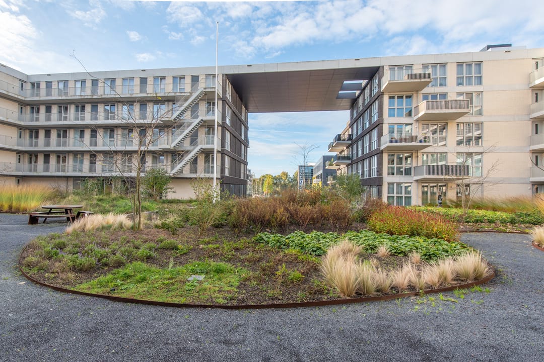 Foto 37 van Lapis Lazuli 7