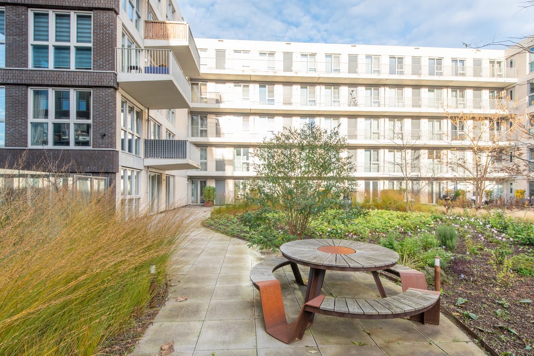 Foto 38 van Lapis Lazuli 7