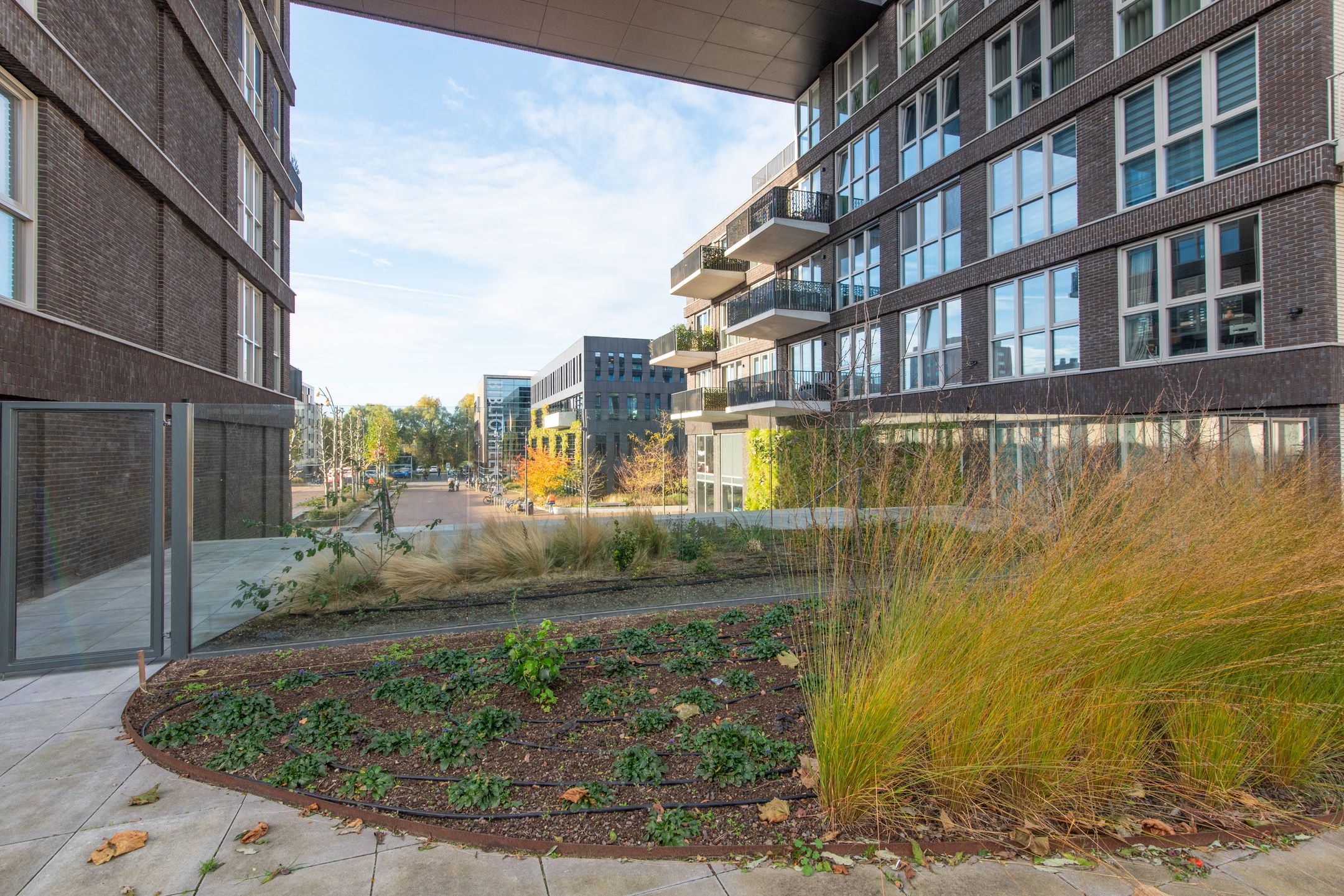 Foto 39 van Lapis Lazuli 7