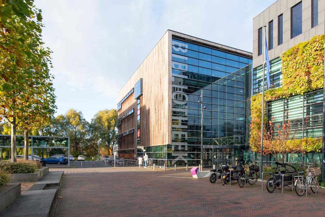 Foto 46 van Lapis Lazuli 7