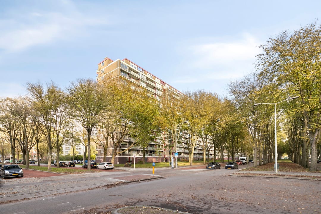 Foto 1 van Nieuwendamlaan 166