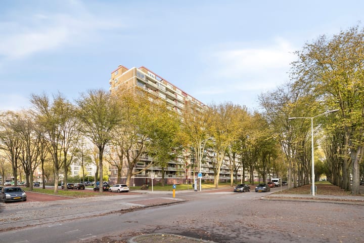 Nieuwendamlaan 166 main image