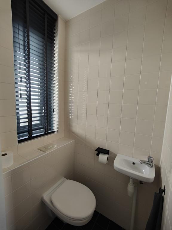 Foto 13 van De Dissel 120