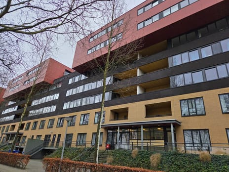 undefined main image