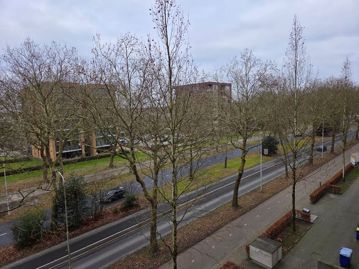 Foto 10 van Wadestein 92