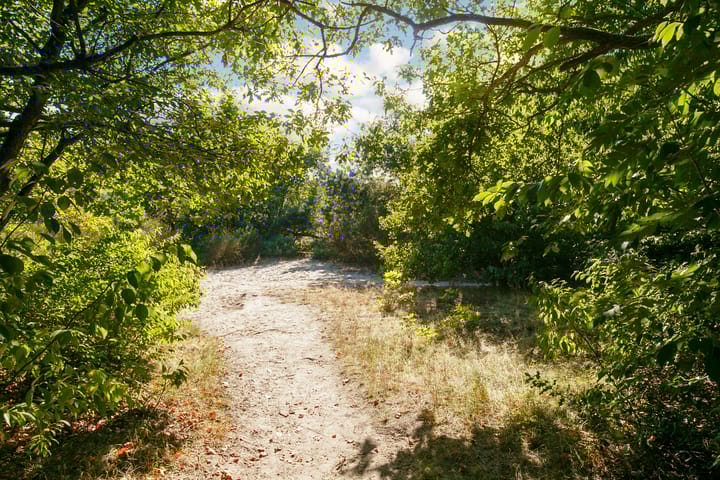 Foto 54 van Rueterlaan 5