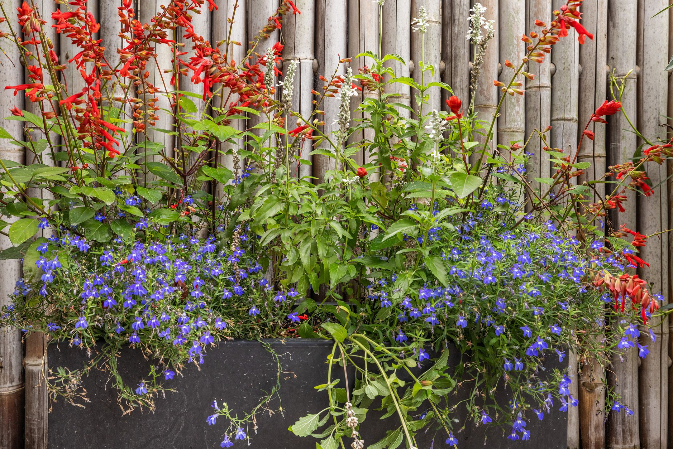 Foto 24 van Hooftlaantje 106