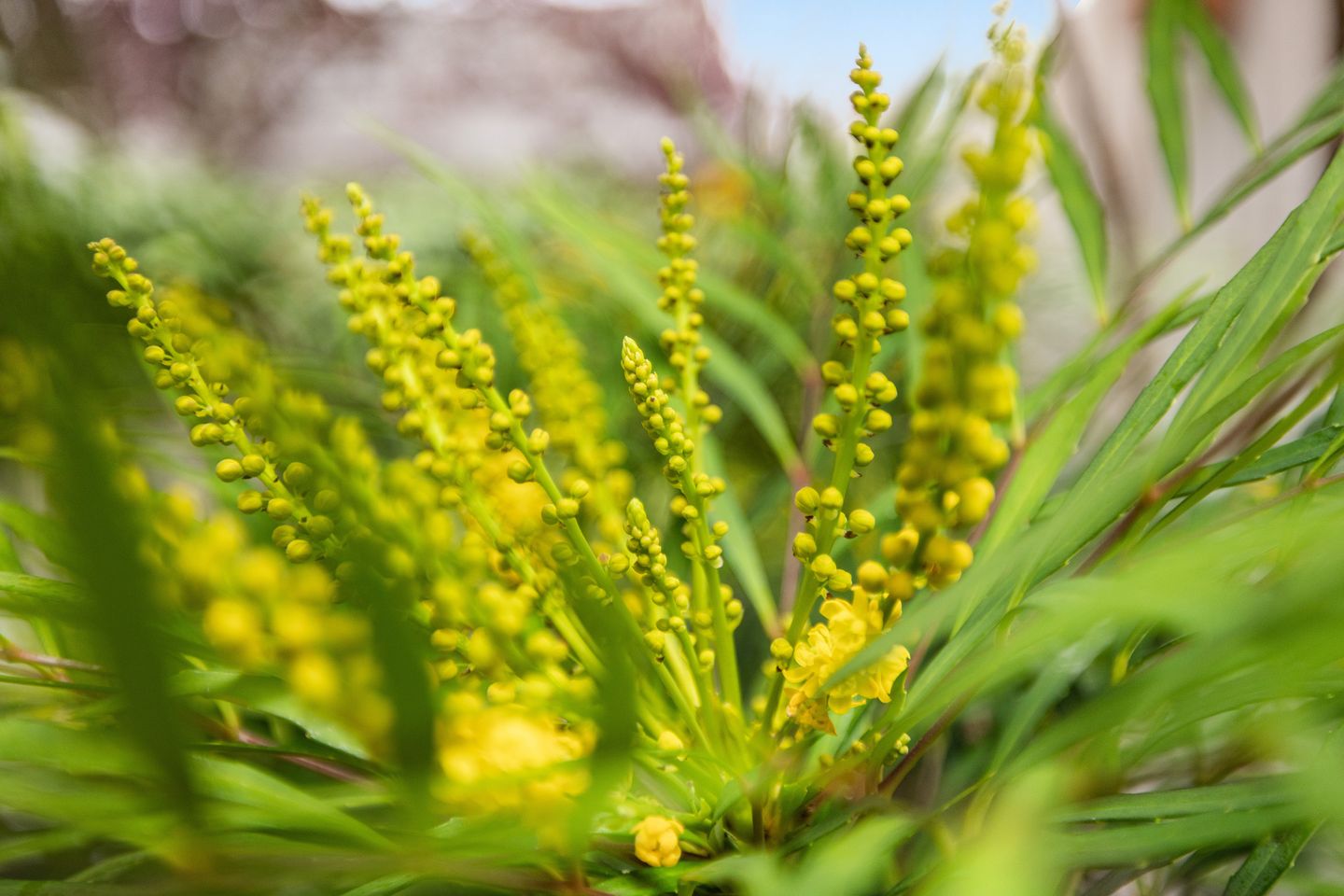 Foto 25 van Hooftlaantje 106