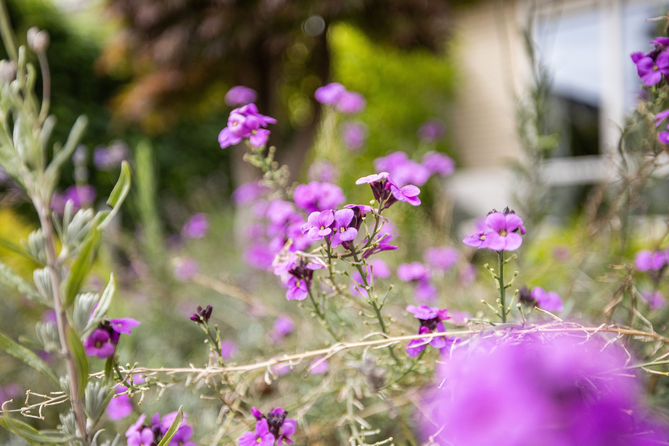 Foto 18 van Hooftlaantje 106