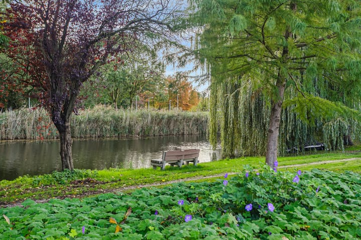 Foto 42 van Valeriaanstraat 29