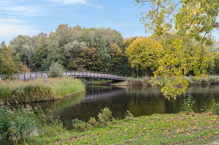 Foto 48 van Valeriaanstraat 29