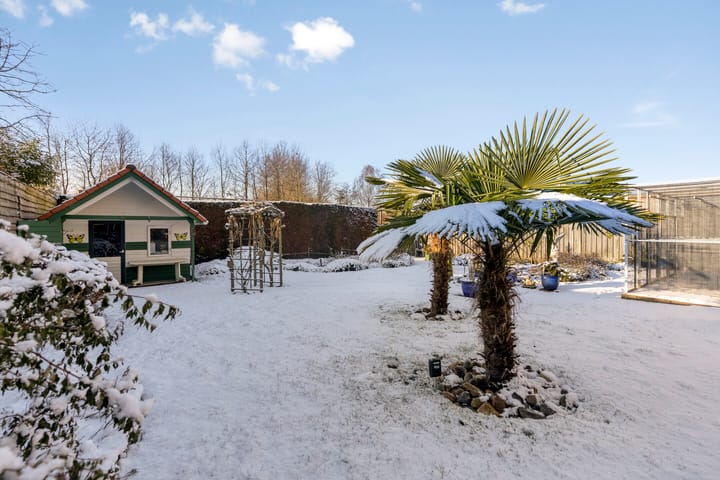 Foto 59 van Raadhuisstraat 12