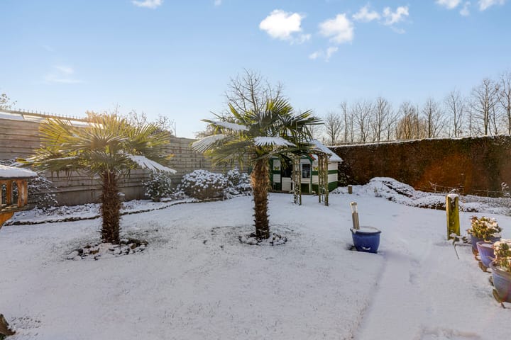 Foto 60 van Raadhuisstraat 12